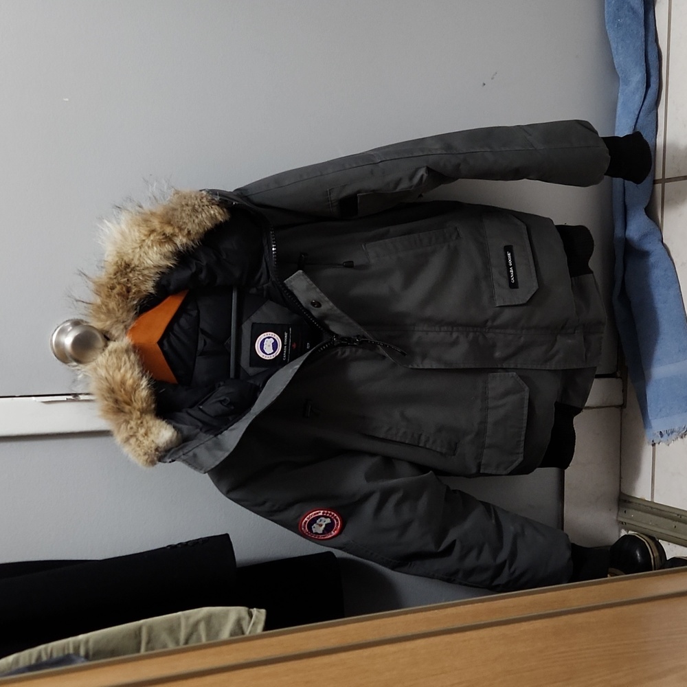 Canada goose